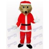 Ours gris dans Costume de mascotte adulte costume Santa