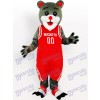 Déguisement drôle de mascotte d'ours de Rockets de Houston