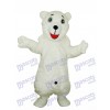 Costume de mascotte adulte ours blanc polaire Animal