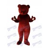 Cuisinier Ours Brun Mascotte Costume Adulte Animal