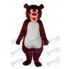 Costume adulte mascotte ours brun