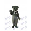 Déguisement d'ours mascotte grise Costume adulte