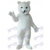 Mascotte ours polaire Costume adulte