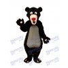 Mascotte de l'ours noir Costume adulte