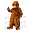 Costume de mascotte castor marron