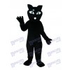 Costume de mascotte castor noir animal