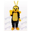 Costume de mascotte adulte petit insecte abeille