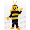 Abeille Costume de mascotte d'insecte