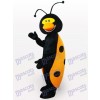 Costume de mascotte adulte insecte coccinelle