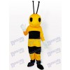 Costume de mascotte adulte insecte petit insecte