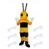 Insecte Mascotte Fourmi Costume Adulte