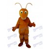 Insecte Costume de mascotte brune marron insecte