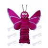 Mascotte de papillon violet pourpre adulte insecte