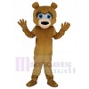 Ours costume de mascotte