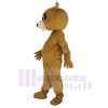Ours costume de mascotte