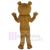 Ours costume de mascotte