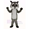 gris Raton laveur Mascotte Costume Adulte