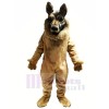 allemand Berger Chien Mascotte Les costumes Animal