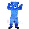 Bleu Velu Ours Mascotte Les costumes Animal