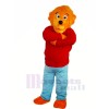 Marrant Lion avec rouge Chandail Mascotte Les costumes Animal