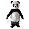 Panda avec Longue Les cils Mascotte Les costumes Animal