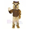 marron Bouledogue avec Gilet Mascotte Les costumes Animal