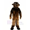 Fort marron Taureau Mascotte Les costumes Animal