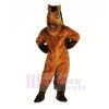 marron Cheval Adulte Mascotte Les costumes Animal