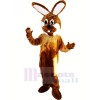 marron et blanc lapin Mascotte Les costumes Animal