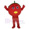 Tomate costume de mascotte