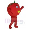 Tomate costume de mascotte