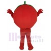 Tomate costume de mascotte