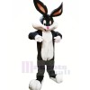 Mignonne lapin avec Longue Oreilles Mascotte Les costumes Animal