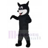 Chat costume de mascotte