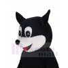 Chat costume de mascotte
