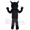 Chat costume de mascotte
