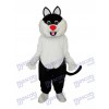 Haha Cat Mascotte Costume Adulte Animal