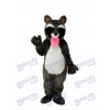 Costume de mascotte Bobcats en mousse Animal