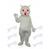 Mascotte chat blanc Costume adulte Animal