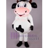 Vache costume de mascotte