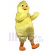 Poulet Volaille costume de mascotte