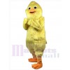 Poulet Volaille costume de mascotte