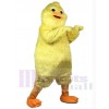 Poulet Volaille costume de mascotte