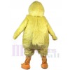 Poulet Volaille costume de mascotte