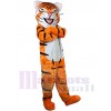 Tigre costume de mascotte