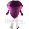 Diamant costume de mascotte