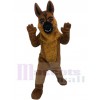 chien loup costume de mascotte