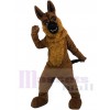 chien loup costume de mascotte