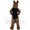 chien loup costume de mascotte