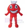 avion costume de mascotte